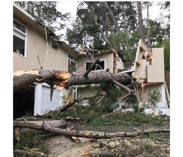Tree collapsed on home due to heavy winds